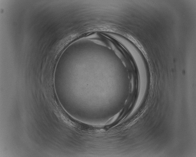 X0000081390481200701111521