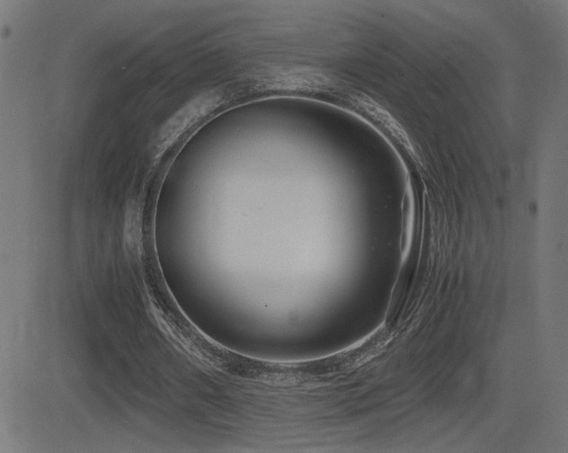X0000081390482200701111521