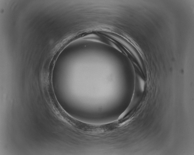X0000081390485200701111521