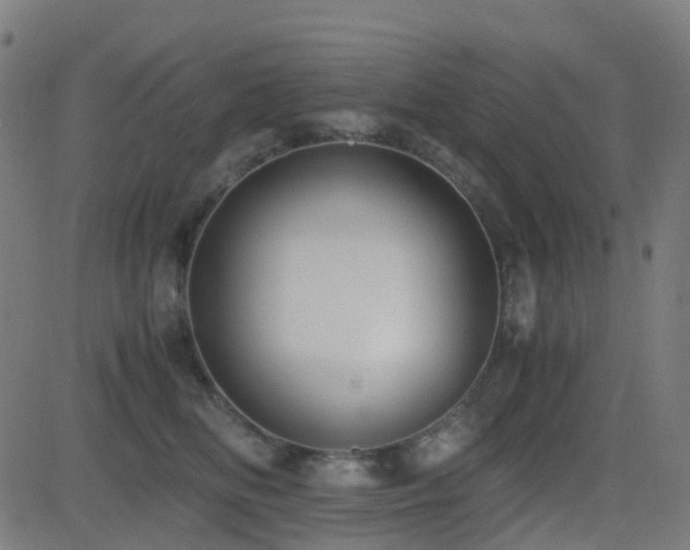 X0000081390518200701111521