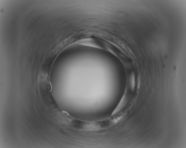 X0000081390521200701111521