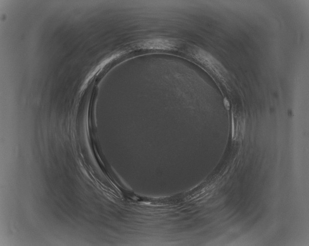 X0000081390531200701111520