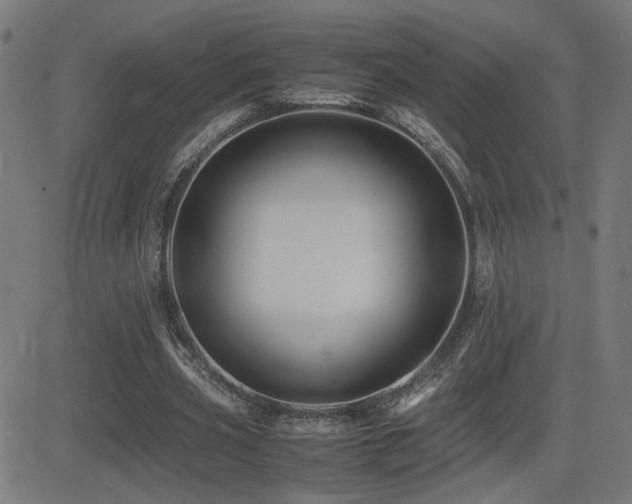 X0000081390533200701111520