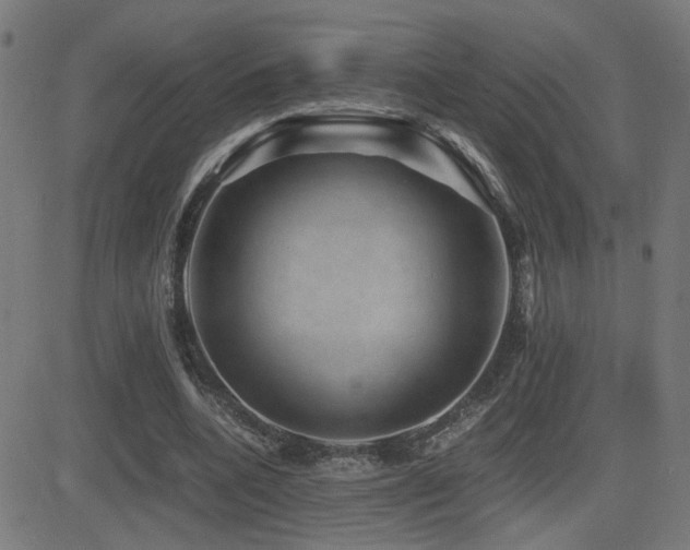 X0000081390536200701111520
