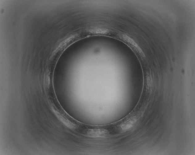 X0000081390541200701111520