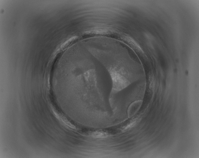 X0000081390542200701111520