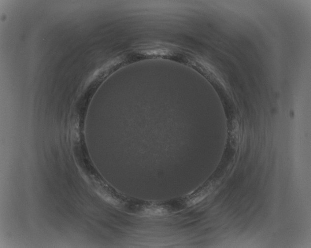 X0000081390547200701111520