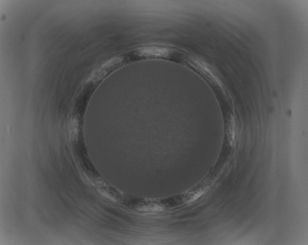 X0000081390551200701111520