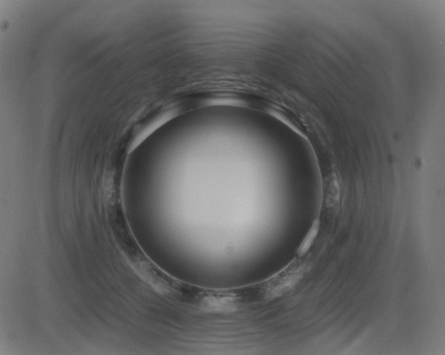 X0000081390560200701111520