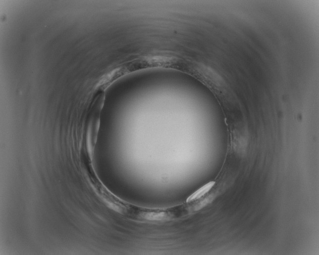 X0000081390575200701111520