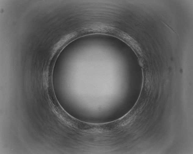 X0000081390578200701111520