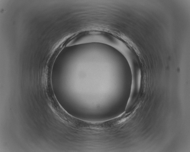 X0000081390580200701111520