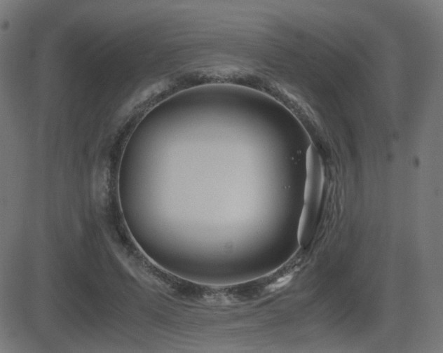X0000081390591200701111519