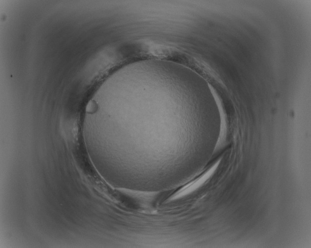 X0000081390595200701111519