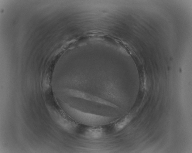X0000081390606200701111519