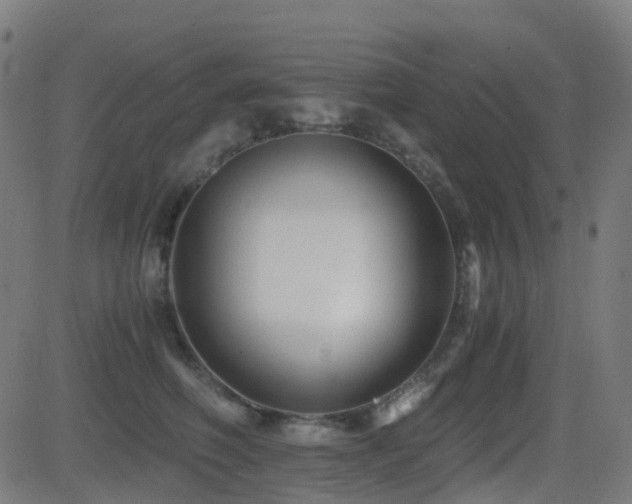 X0000081390614200701111519