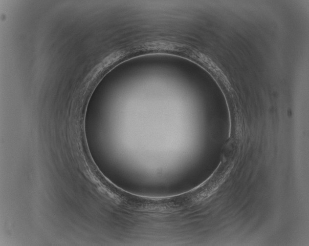 X0000081390625200701111518