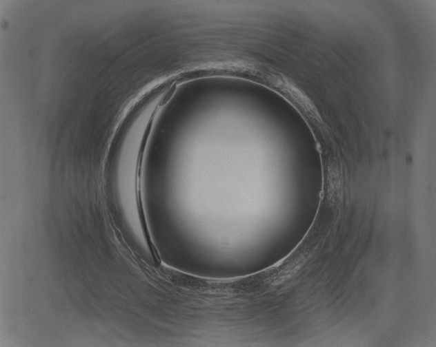 X0000081390628200701111518
