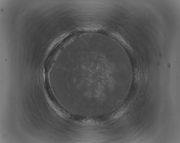 X0000081390634200701111518