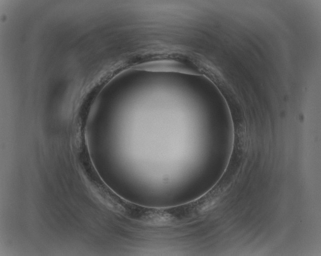 X0000081390642200701111518