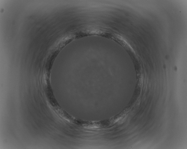 X0000081390643200701111518