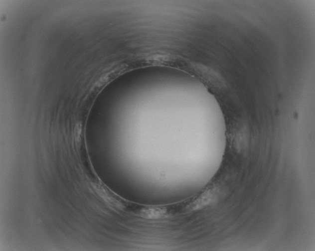 X0000081390660200701111519