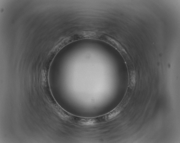 X0000081390667200701111519