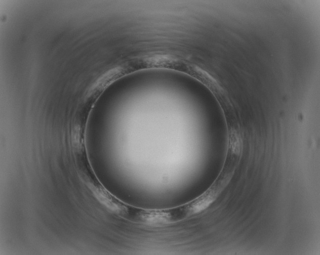 X0000081390670200701111519