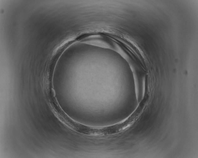 X0000081390677200701111518