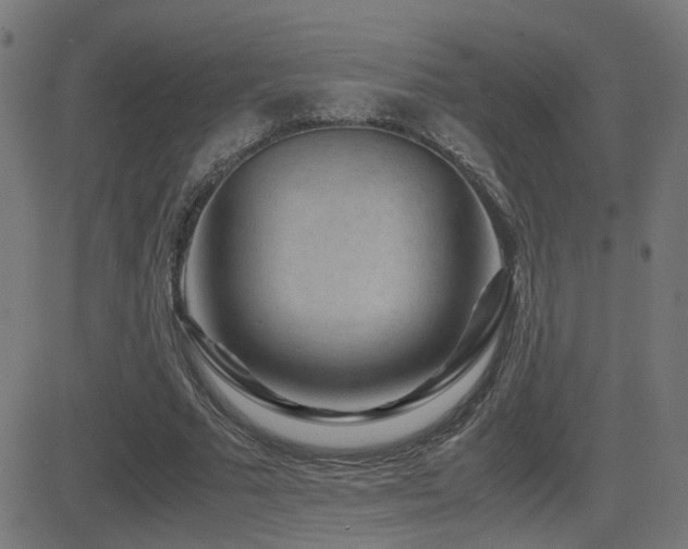 X0000081390681200701111518