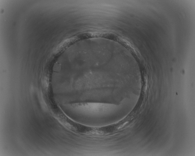 X0000081390691200701111518