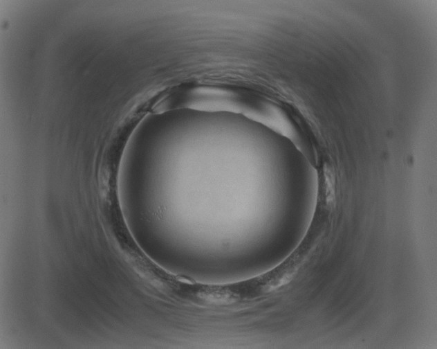 X0000081390693200701111518