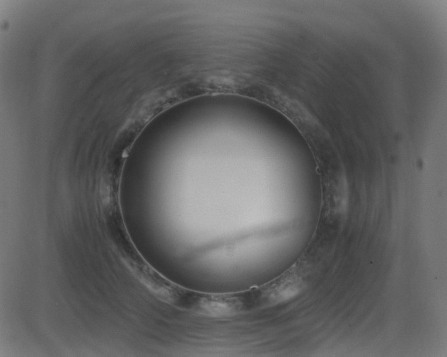 X0000081390706200701111518