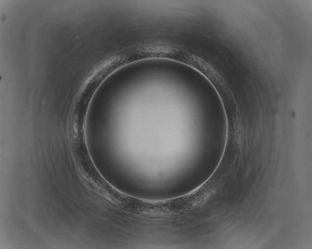 X0000081390731200701111517
