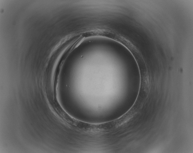 X0000081390734200701111517