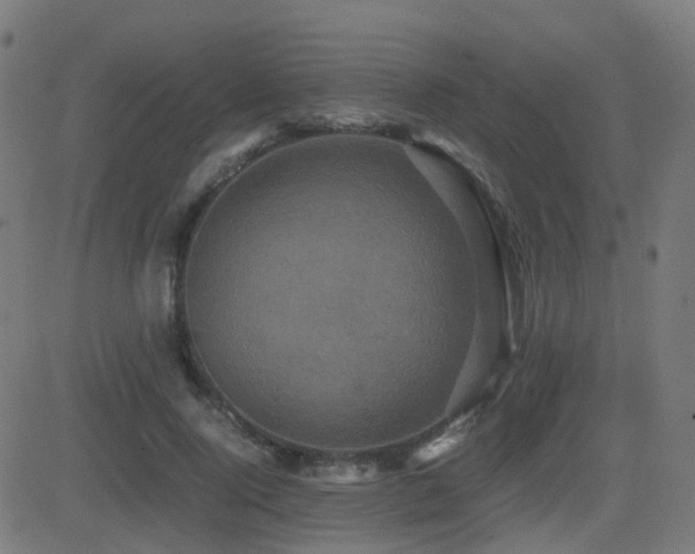 X0000081390740200701111517