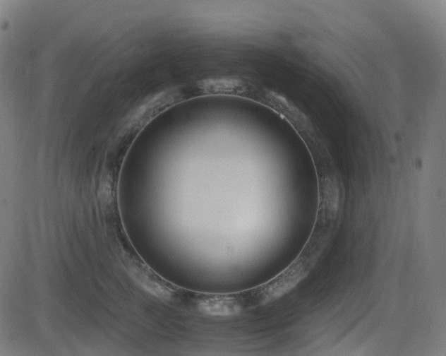 X0000081390761200701111517