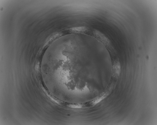 X0000081390765200701111517