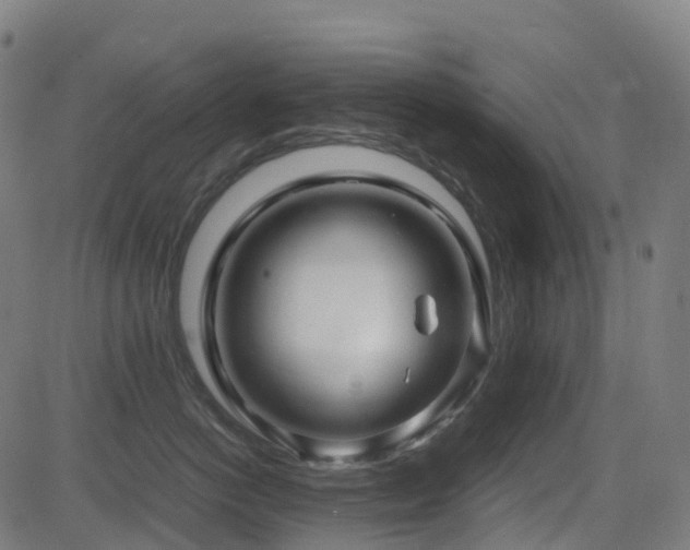 X0000081390766200701111517