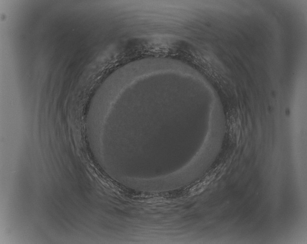 X0000081390769200701111517