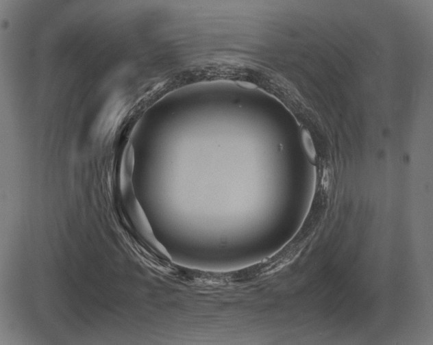 X0000081390771200701111517