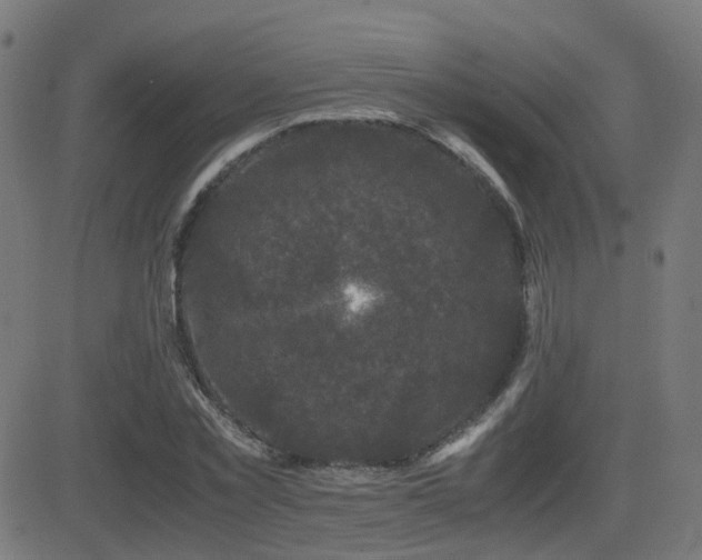 X0000081390781200701111516