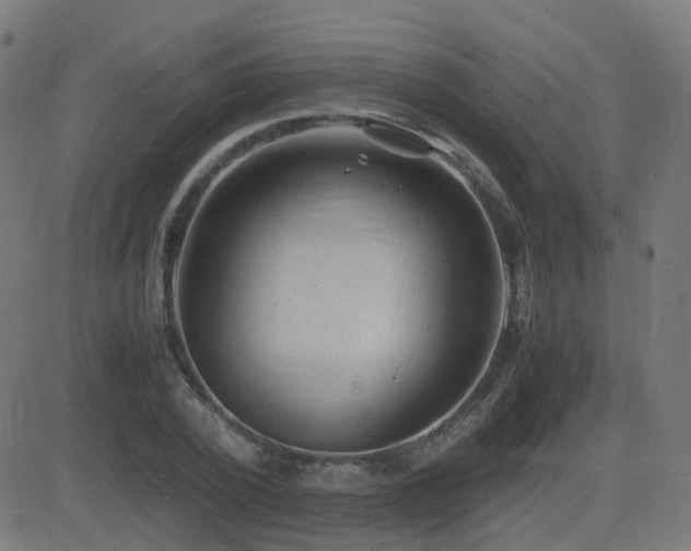 X0000081390784200701111516