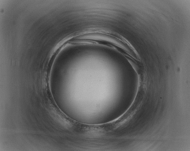 X0000081390786200701111516
