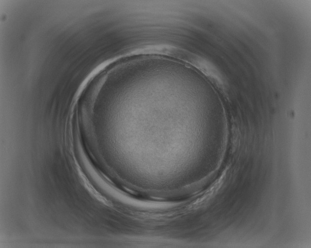 X0000081390792200701111516