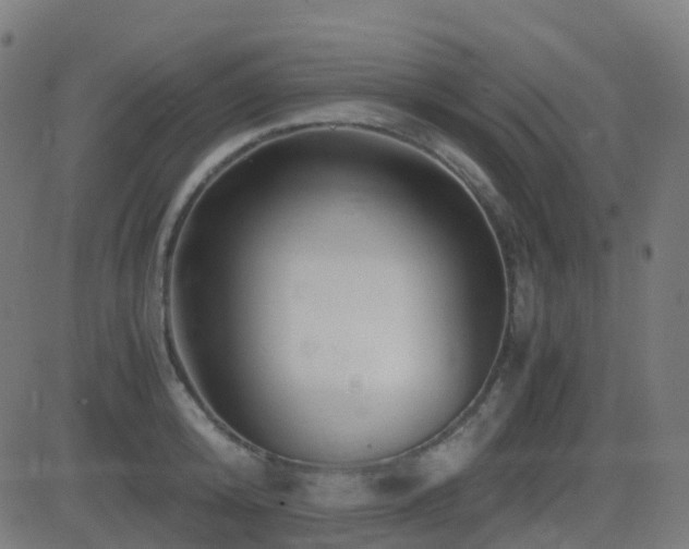 X0000081390800200701111516