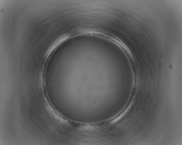 X0000081390806200701111516
