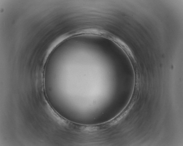 X0000081390808200701111516