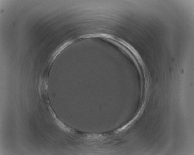 X0000081390809200701111516