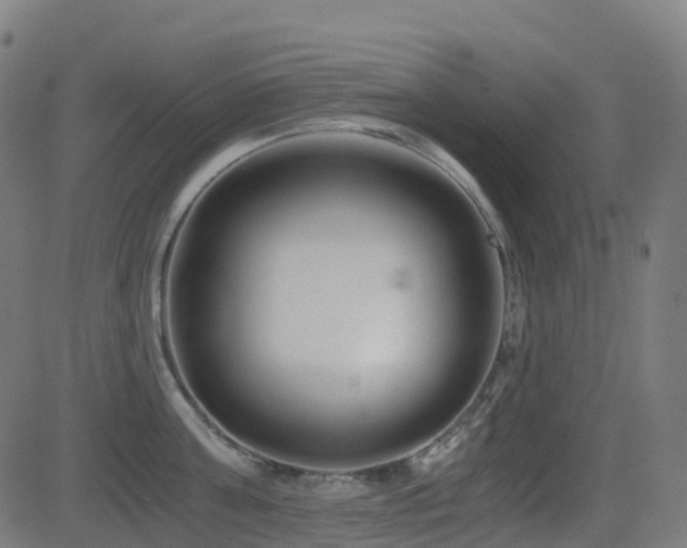 X0000081390811200701111516